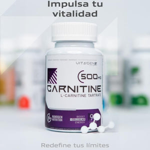 L-Carnitine 500 mg – Nanogen Nutrition