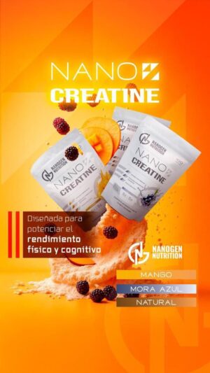 NANO CREATINE – Nanogen Nutrition